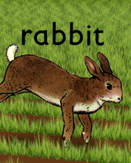 Смотреть Кролик (2005) онлайн в HD качестве 720p