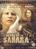 Смотреть Секрет Сахары (1987) онлайн в Хдрезка качестве 720p