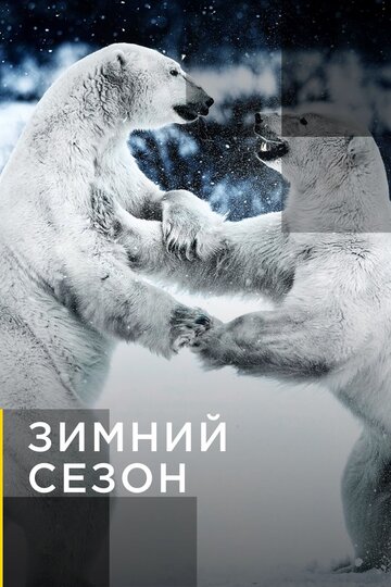 Смотреть Зимний сезон (2011) онлайн в Хдрезка качестве 720p
