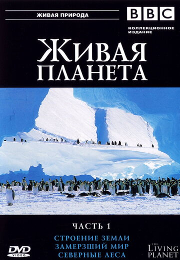 Смотреть BBC: Живая планета (1984) онлайн в Хдрезка качестве 720p